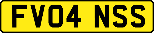 FV04NSS