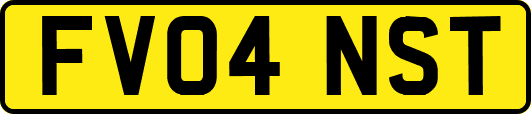 FV04NST