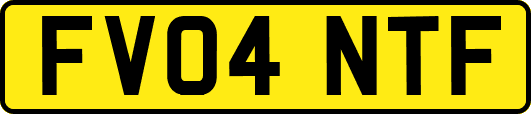 FV04NTF