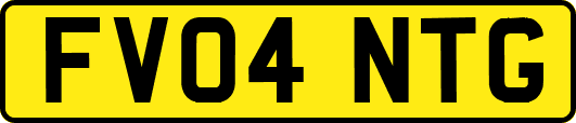 FV04NTG