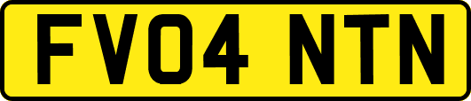 FV04NTN