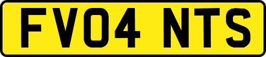 FV04NTS