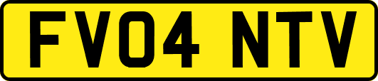 FV04NTV