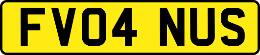 FV04NUS