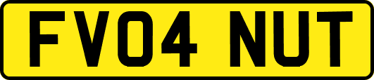 FV04NUT