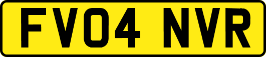 FV04NVR