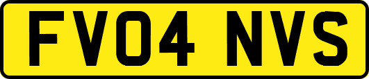 FV04NVS