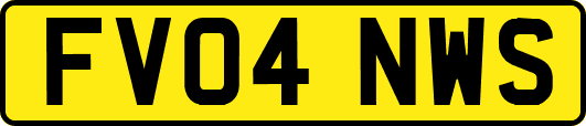 FV04NWS
