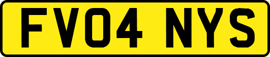 FV04NYS