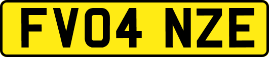 FV04NZE