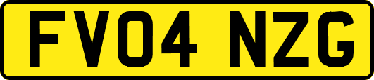 FV04NZG