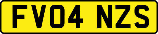 FV04NZS