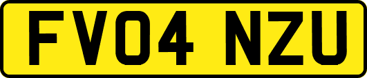FV04NZU