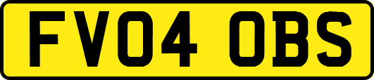 FV04OBS