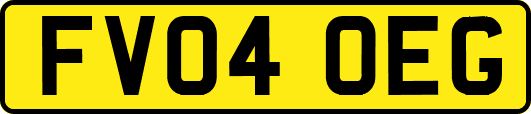 FV04OEG