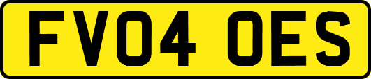 FV04OES