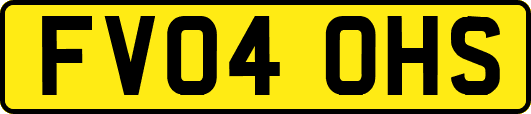 FV04OHS