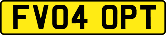 FV04OPT