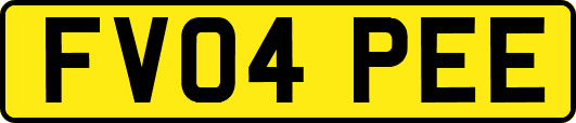 FV04PEE
