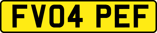 FV04PEF