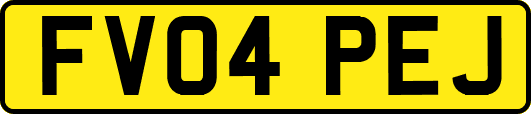 FV04PEJ