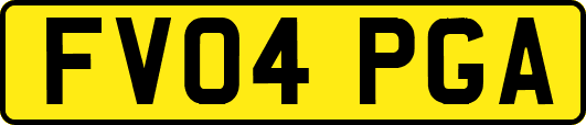 FV04PGA