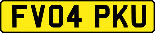 FV04PKU