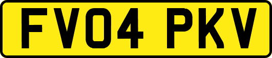 FV04PKV