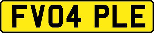 FV04PLE