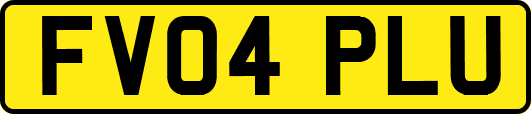 FV04PLU