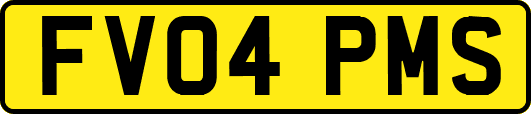 FV04PMS