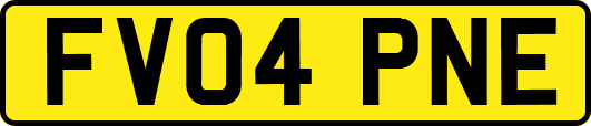 FV04PNE
