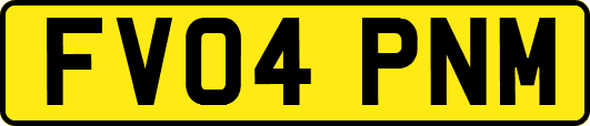 FV04PNM