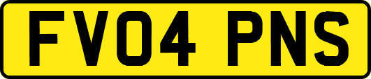 FV04PNS