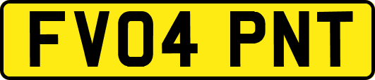 FV04PNT