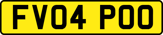 FV04POO
