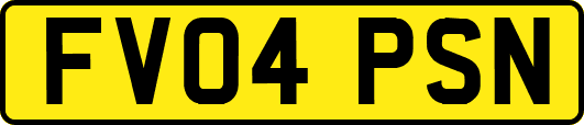 FV04PSN