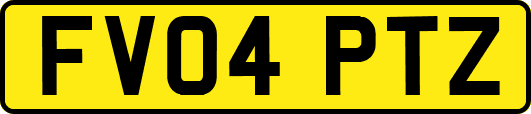 FV04PTZ