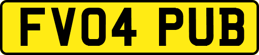 FV04PUB
