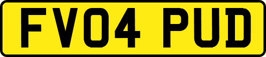 FV04PUD