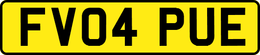 FV04PUE