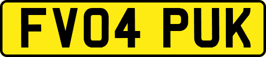 FV04PUK
