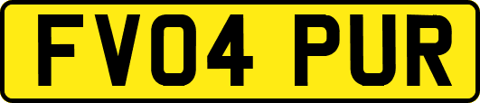 FV04PUR