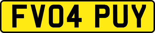 FV04PUY