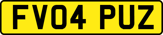 FV04PUZ