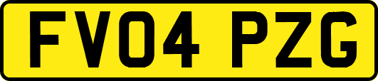 FV04PZG