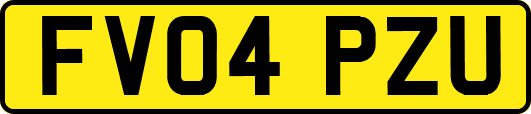 FV04PZU