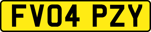 FV04PZY