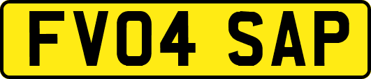FV04SAP