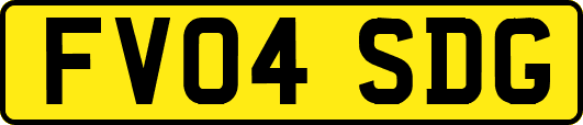FV04SDG